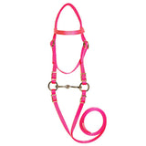 Mini Nylon Headstall and Bridle with Bit & Reins
