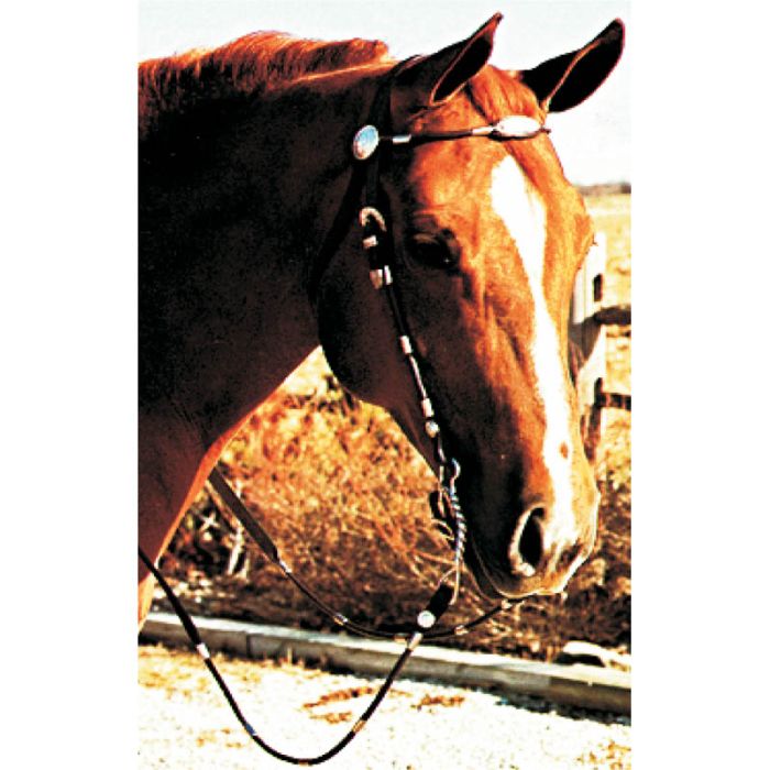 Mini Poco Headstall Dark Brown with reins