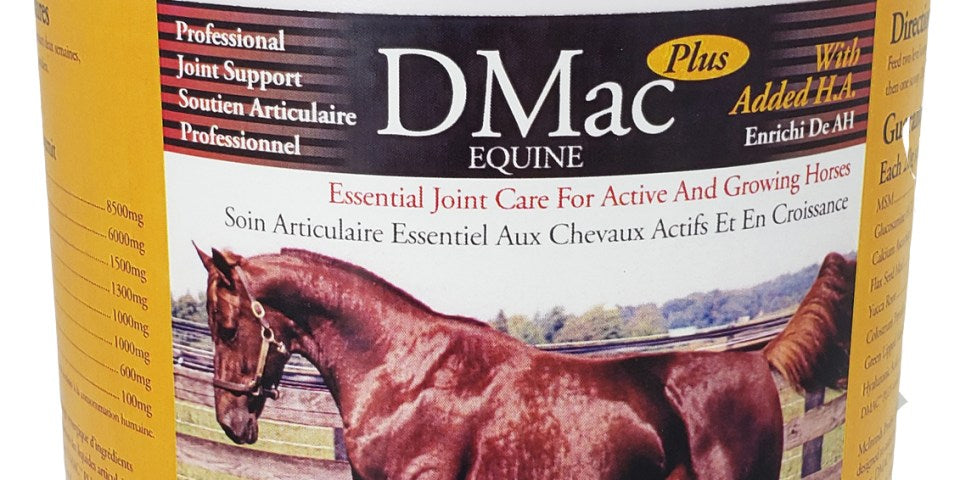 McIntosh Pro Line Dmac Plus with H.A.