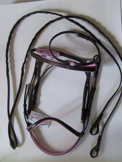 Padded Bridle with Reins