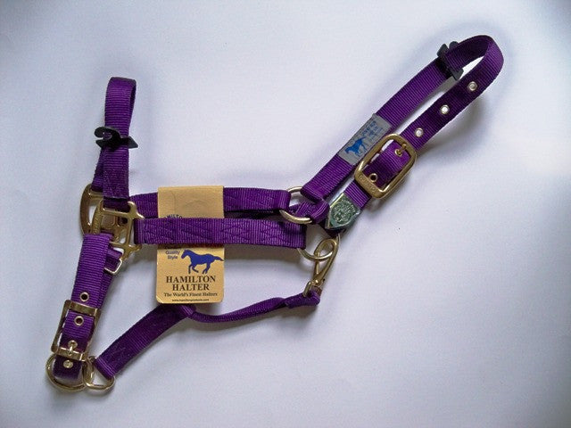 Hamilton Halter - Purple