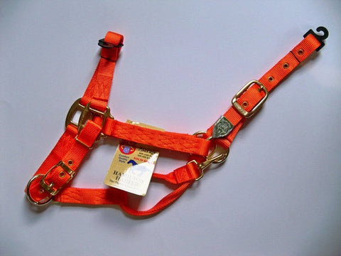 Hamilton Halter - Orange