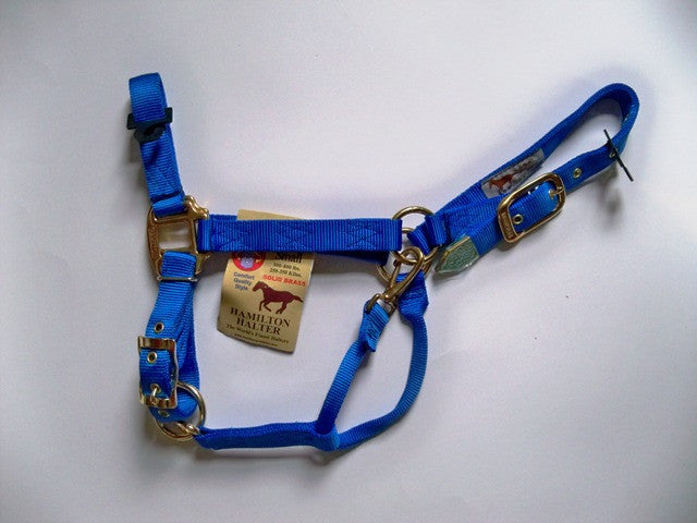 Hamilton Halter - Blue