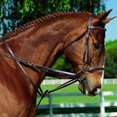 German Martingale or Tiedeman Style martingale