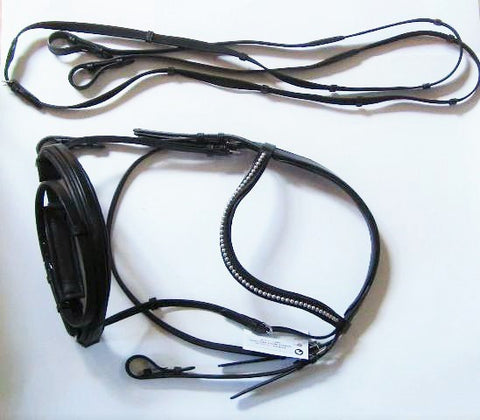 Padded Bridle with Flash