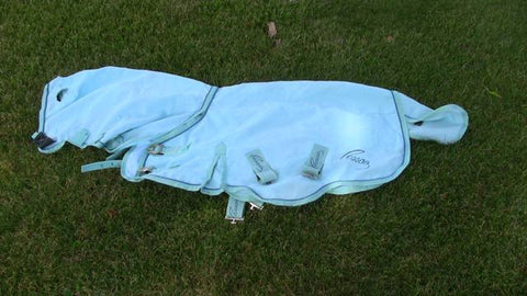 Mini Blanket by Pessoa - 36"
