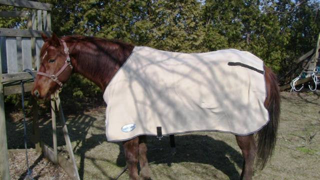 Country Legend - Fleece Cooler Sheet