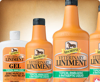 Absorbine Veterinary Liniment