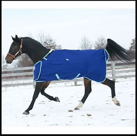 Hug Prize 300g Turnout Blanket - Navy/Light Blue