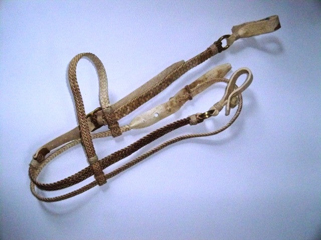 Braided Leather Headstall & Reins
